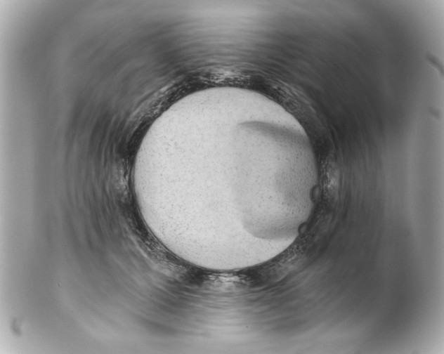 X0000101650607200807311415