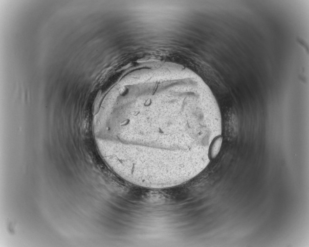 X0000101650608200807311415