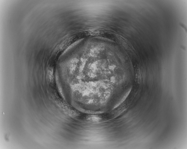 X0000101650610200807311414