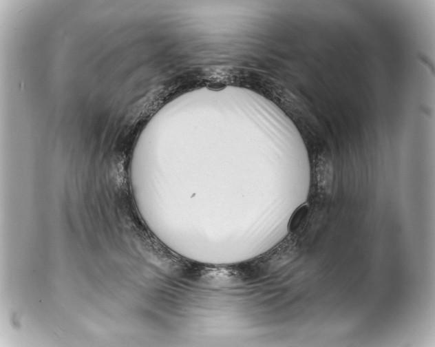 X0000101650611200807311414
