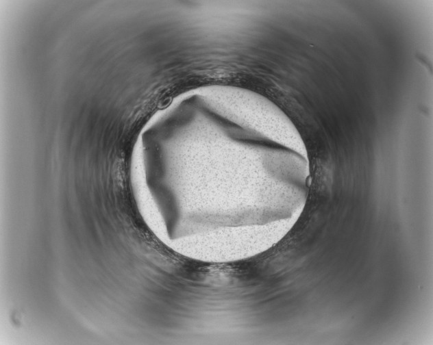 X0000101650612200807311414