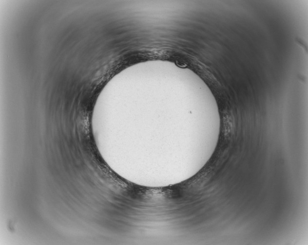 X0000101650613200807311414