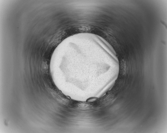 X0000101650614200807311414