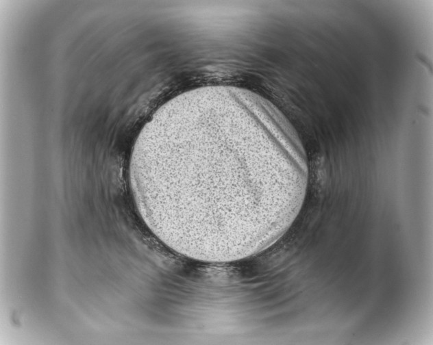 X0000101650615200807311414