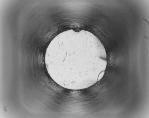 X0000101650616200807311414