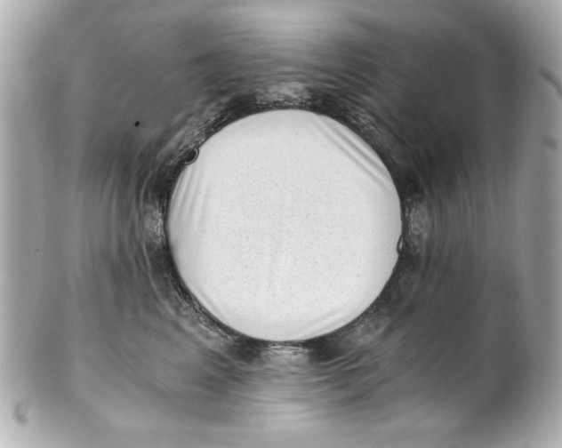 X0000101650617200807311414