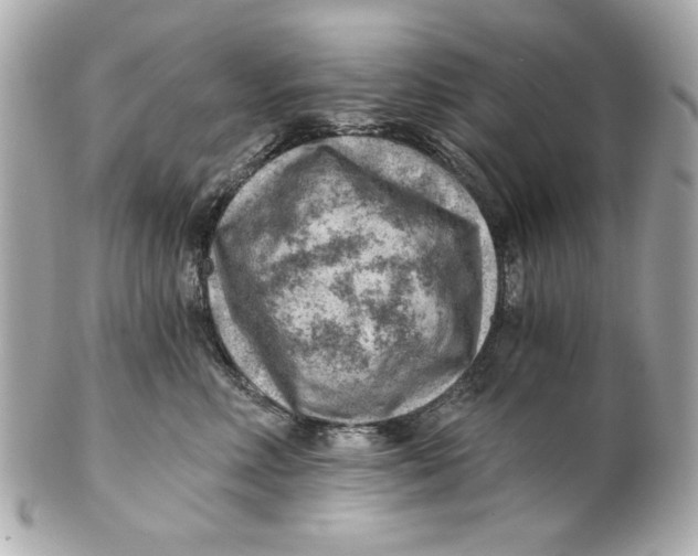 X0000101650618200807311414