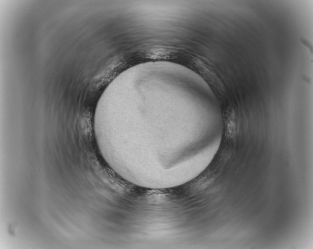 X0000101650620200807311414