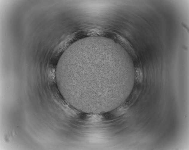 X0000101650621200807311414