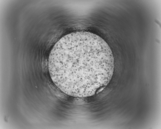 X0000101650624200807311414