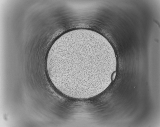 X0000101650625200807311414