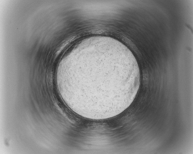 X0000101650626200807311414