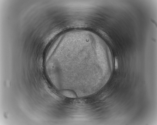 X0000101650627200807311414