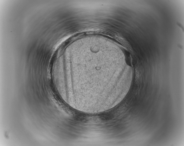 X0000101650628200807311414