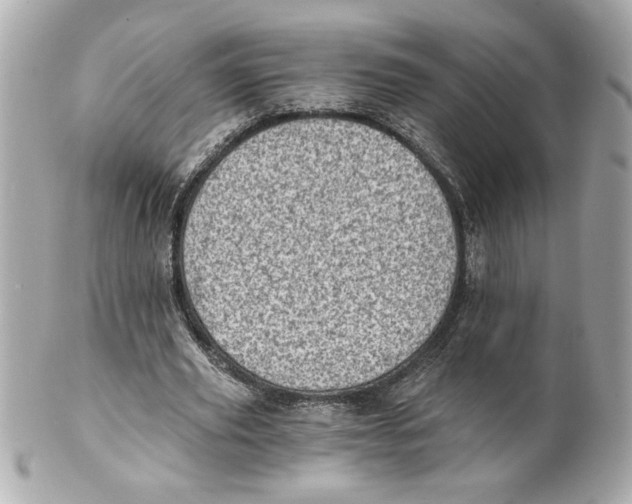 X0000101650629200807311414