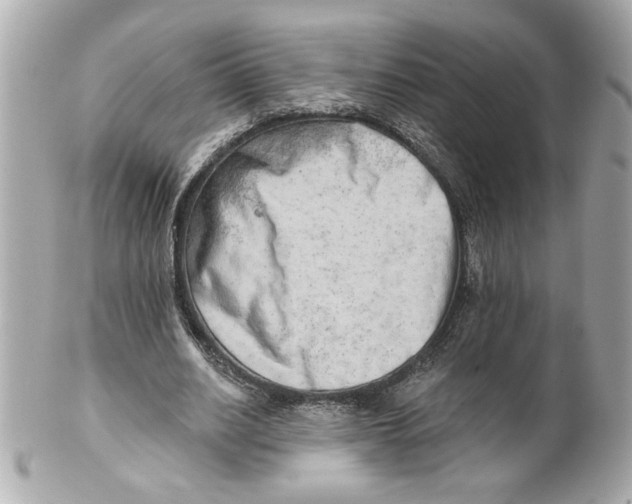X0000101650630200807311414