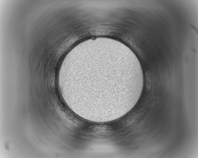 X0000101650631200807311414
