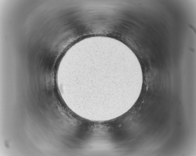 X0000101650632200807311414