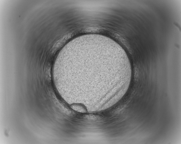 X0000101650633200807311414