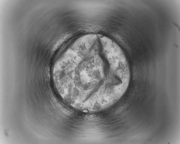 X0000101650634200807311414