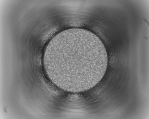 X0000101650635200807311414