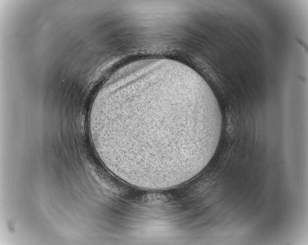 X0000101650636200807311414