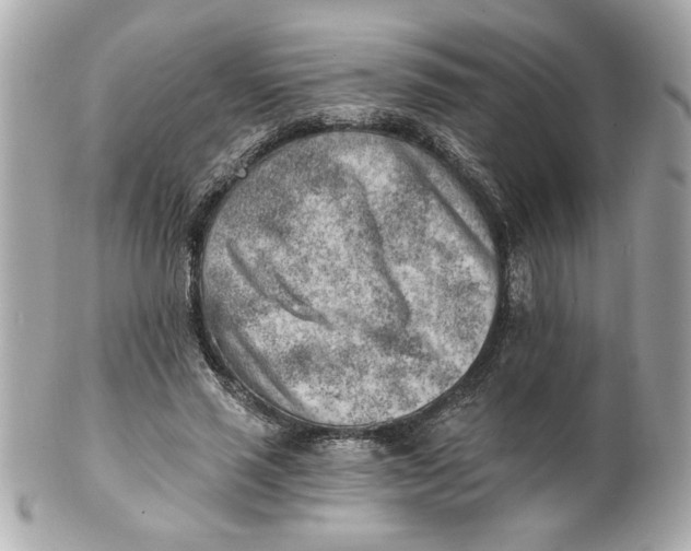 X0000101650637200807311414