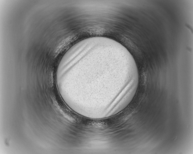 X0000101650638200807311414