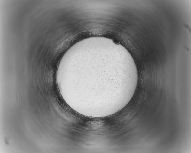 X0000101650639200807311414