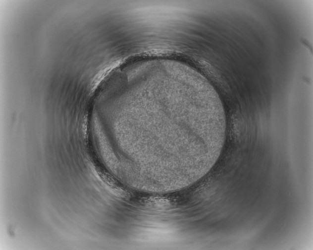 X0000101650640200807311414