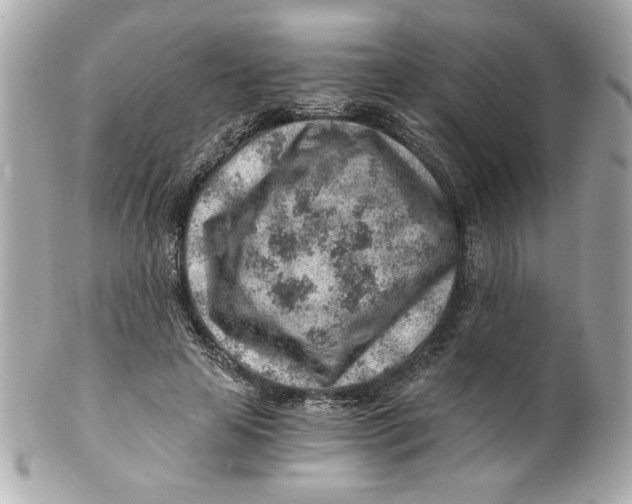 X0000101650641200807311414