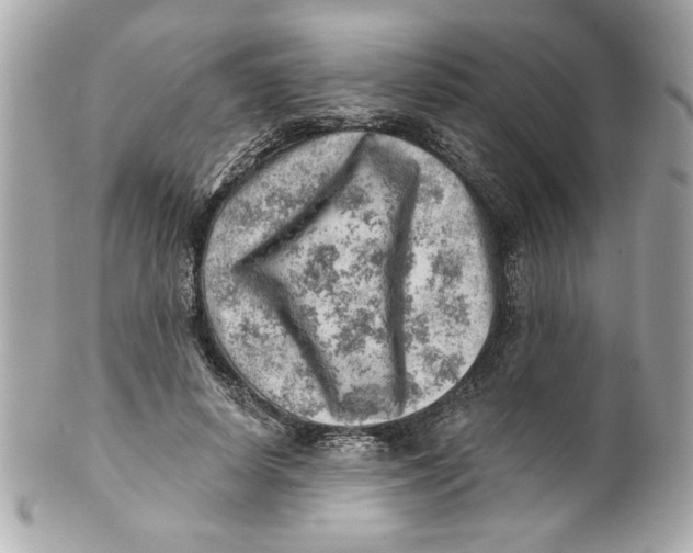 X0000101650642200807311414