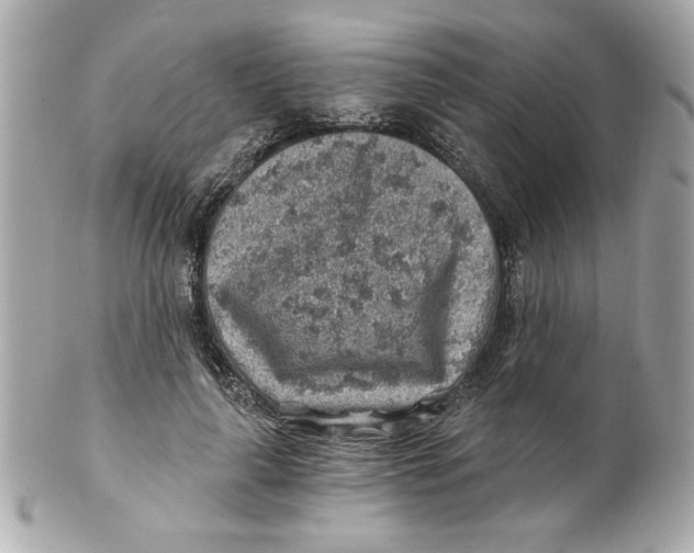 X0000101650643200807311414