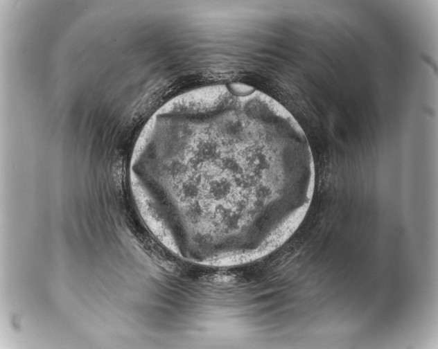 X0000101650647200807311414
