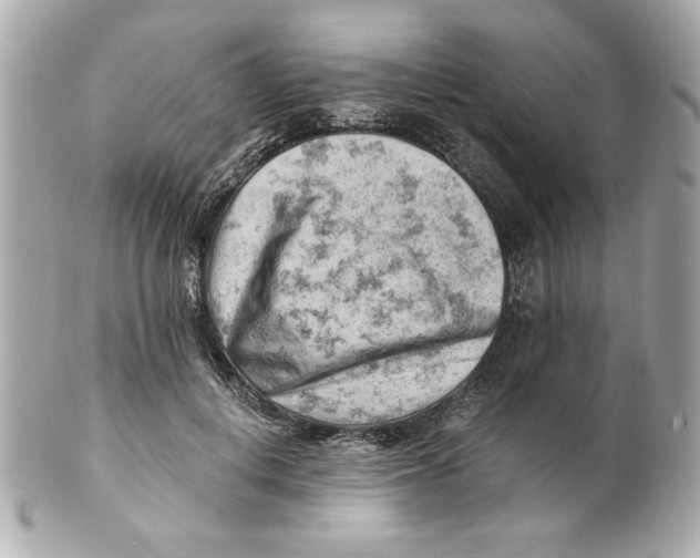 X0000101650648200807311414