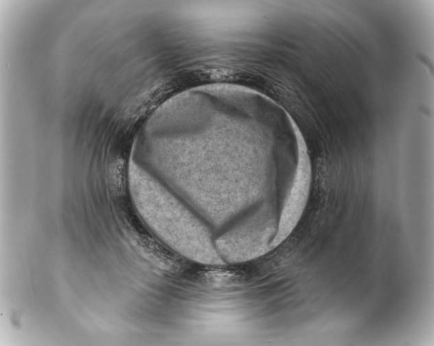 X0000101650650200807311414