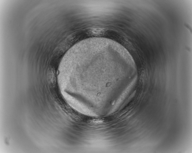 X0000101650651200807311414