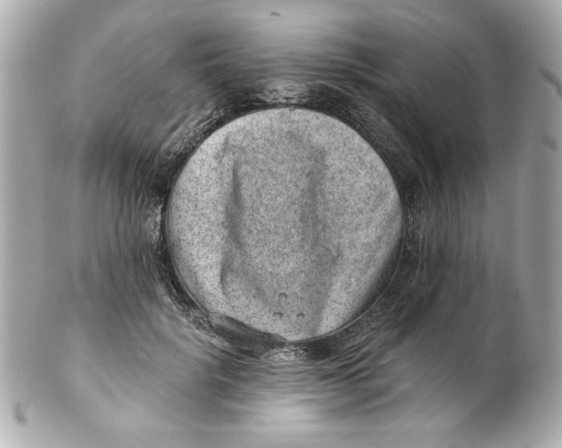 X0000101650652200807311414