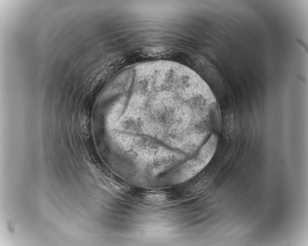 X0000101650653200807311414