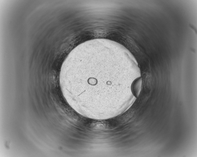 X0000101650655200807311414