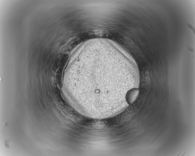 X0000101650656200807311414