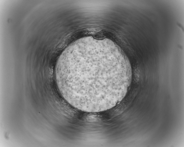 X0000101650657200807311414