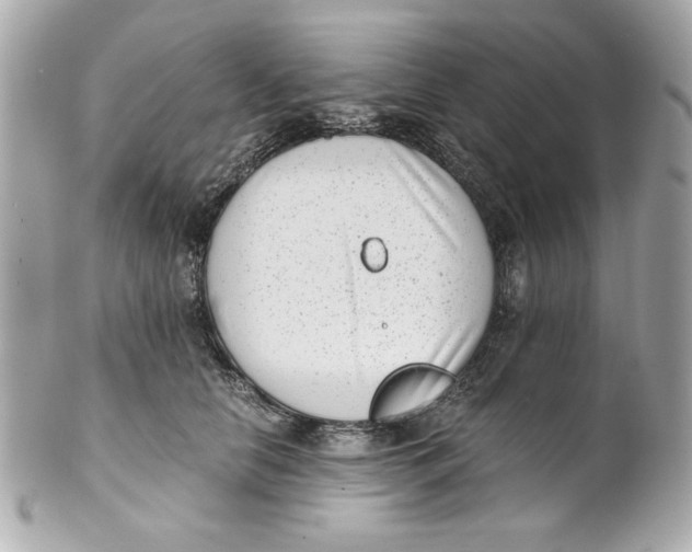 X0000101650658200807311414