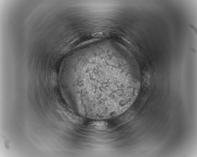 X0000101650659200807311414