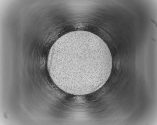 X0000101650660200807311414