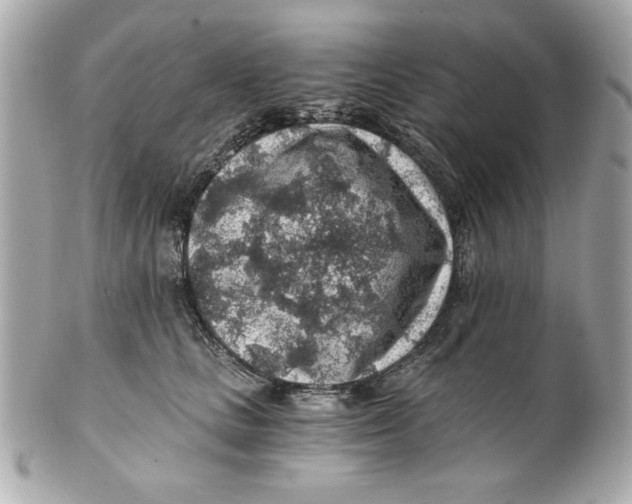 X0000101650661200807311414