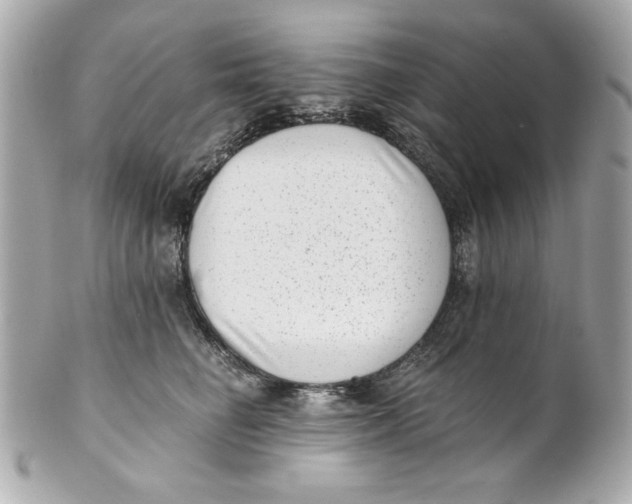 X0000101650662200807311414
