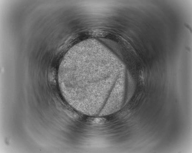 X0000101650663200807311414