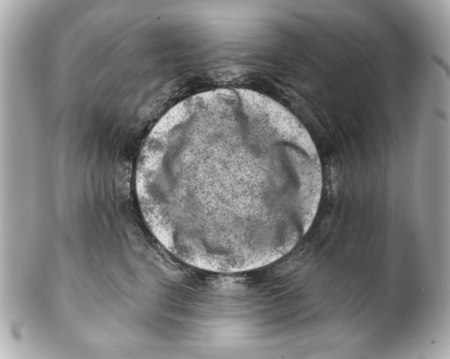 X0000101650664200807311414