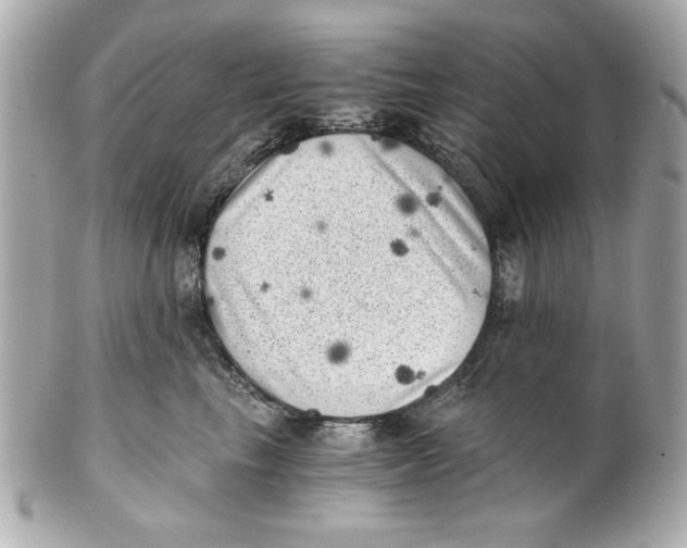 X0000101650665200807311414